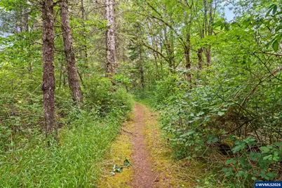 38380 Soap Creek Rd, Corvallis, OR 97330 - Photo 35