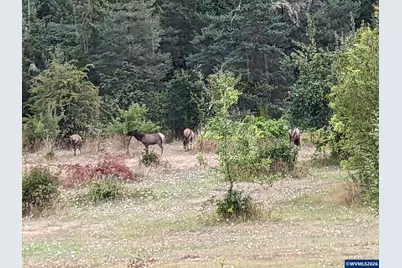 38380 Soap Creek Rd, Corvallis, OR 97330 - Photo 41