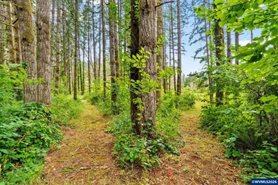 38380 Soap Creek Rd, Corvallis, OR 97330 - Photo 37