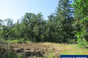 10285 S Rosewood Way, Molalla, OR 97038 - Photo 41