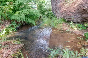 554 Mitchell St, Falls City, OR 97344 - Photo 35