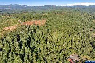 41294 Keel Mountain N Dr, Lebanon, OR 97355 - Photo 47