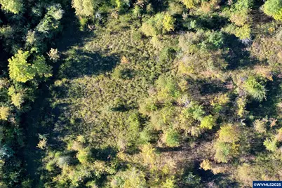 41294 Keel Mountain North Dr, Lebanon, OR 97355 - Photo 41