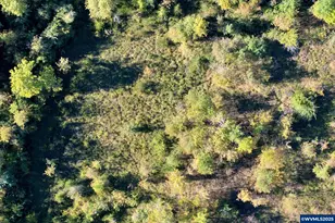 41294 Keel Mountain N Dr, Lebanon, OR 97355 - Photo 41