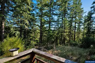 41294 Keel Mountain N Dr, Lebanon, OR 97355 - Photo 27