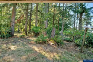 41294 Keel Mountain N Dr, Lebanon, OR 97355 - Photo 37