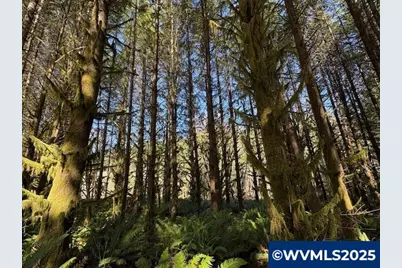 000 Logsden Rd, Blodgett, OR 97326 - Photo 17