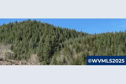 000 Logsden Rd, Blodgett, OR 97326 - Photo 3