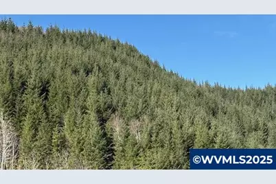 000 Logsden Rd, Blodgett, OR 97326 - Photo 1