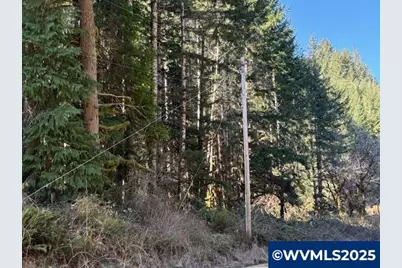 000 Logsden Rd, Blodgett, OR 97326 - Photo 11