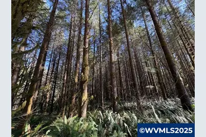 000 Logsden Rd, Blodgett, OR 97326 - Photo 19