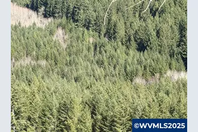 000 Logsden Rd, Blodgett, OR 97326 - Photo 7