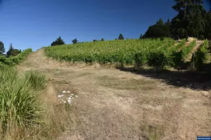 8500 Hopewell Rd NW, Salem, OR 97304 - Photo 9