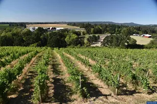 8500 Hopewell Rd NW, Salem, OR 97304 - Photo 7