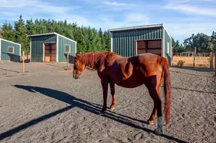 37658 S Hwy 213, Mount Angel, OR 97362 - Photo 9
