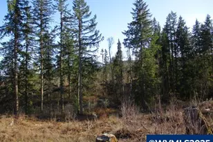 000 Abiqua Dam (Large) Rd, Silverton, OR 97381 - Photo 1