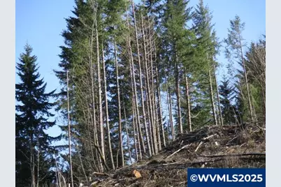 000 Abiqua Dam (Large) Rd, Silverton, OR 97381 - Photo 3