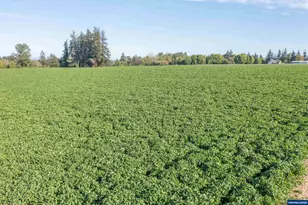 3372 River Bend Rd NW, Salem, OR 97304 - Photo 9