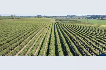 3372 River Bend Rd NW, Salem, OR 97304 - Photo 25