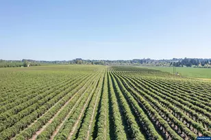 3372 River Bend Rd NW, Salem, OR 97304 - Photo 25