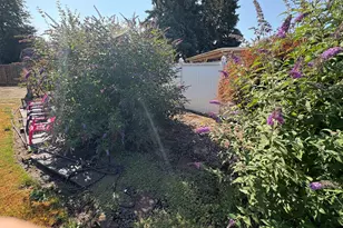 4842 Swegle Rd NE, Salem, OR 97301 - Photo 29