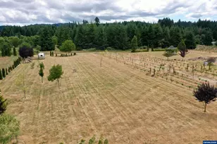 24880 Orchard Tract Rd, Monroe, OR 97456 - Photo 39