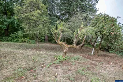 29236 Santiam Hwy, Lebanon, OR 97355 - Photo 31
