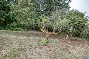 29236 Santiam Hwy, Lebanon, OR 97355 - Photo 31