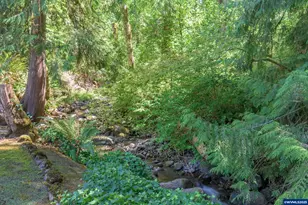 41886 Deerhorn Rd, Springfield, OR 97478 - Photo 41