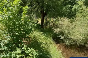 11177 Stockpile SE Ln, Stayton, OR 97383 - Photo 23