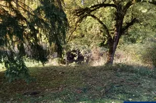 11177 Stockpile SE Ln, Stayton, OR 97383 - Photo 41