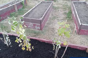 11177 Stockpile SE Ln, Stayton, OR 97383 - Photo 19