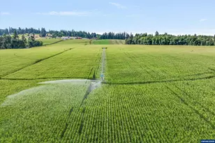 21303 S Central Point Rd, Oregon City, OR 97045 - Photo 9