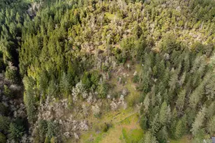 402 Northside Rd, Sutherlin, OR 97479 - Photo 15