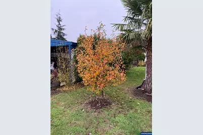 2232 42nd Av SE #106, Salem, OR 97317 - Photo 21