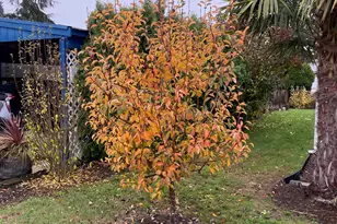 2232 42nd Ave SE, Salem, OR 97317 - Photo 21