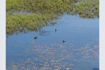 Lot 5332 Duck Club Ct, Scappoose, OR 97056 - Photo 23