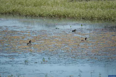 Lot 5332 Duck Club Ct, Scappoose, OR 97056 - Photo 25