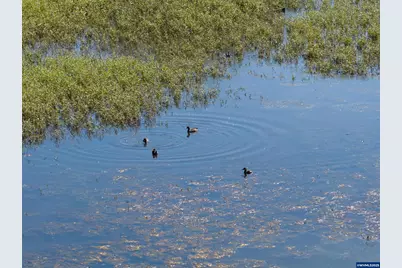 Lot 5332 Duck Club Ct, Scappoose, OR 97056 - Photo 21