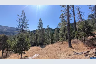 900 Old Cabin Dr, Glide, OR 97443 - Photo 3