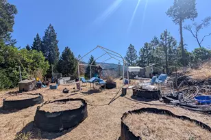 900 Old Cabin Dr, Glide, OR 97443 - Photo 5