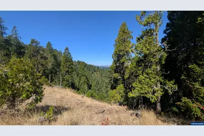 900 Old Cabin Dr, Glide, OR 97443 - Photo 3
