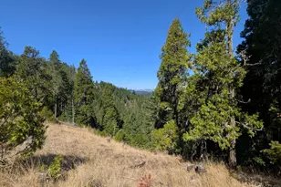 900 Old Cabin Dr, Glide, OR 97443 - Photo 3