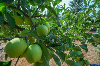 26377 Cherry Creek Rd, Monroe, OR 97456 - Photo 49