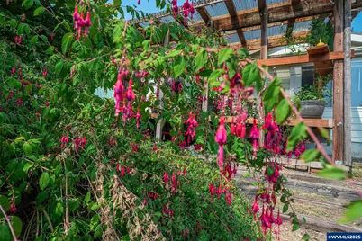 26377 Cherry Creek Rd, Monroe, OR 97456 - Photo 45