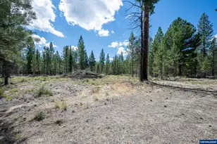 652 Chapman St, Gilchrist, OR 97737 - Photo 5