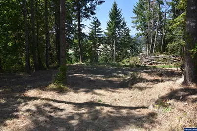 00 Mountain Rd, West Linn, OR 97068 - Photo 7