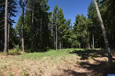 00 Mountain Rd, West Linn, OR 97068 - Photo 5