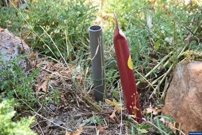 00 Mountain Rd, West Linn, OR 97068 - Photo 9