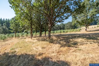 27467 Fern Ridge Rd, Sweet Home, OR 97386 - Photo 43